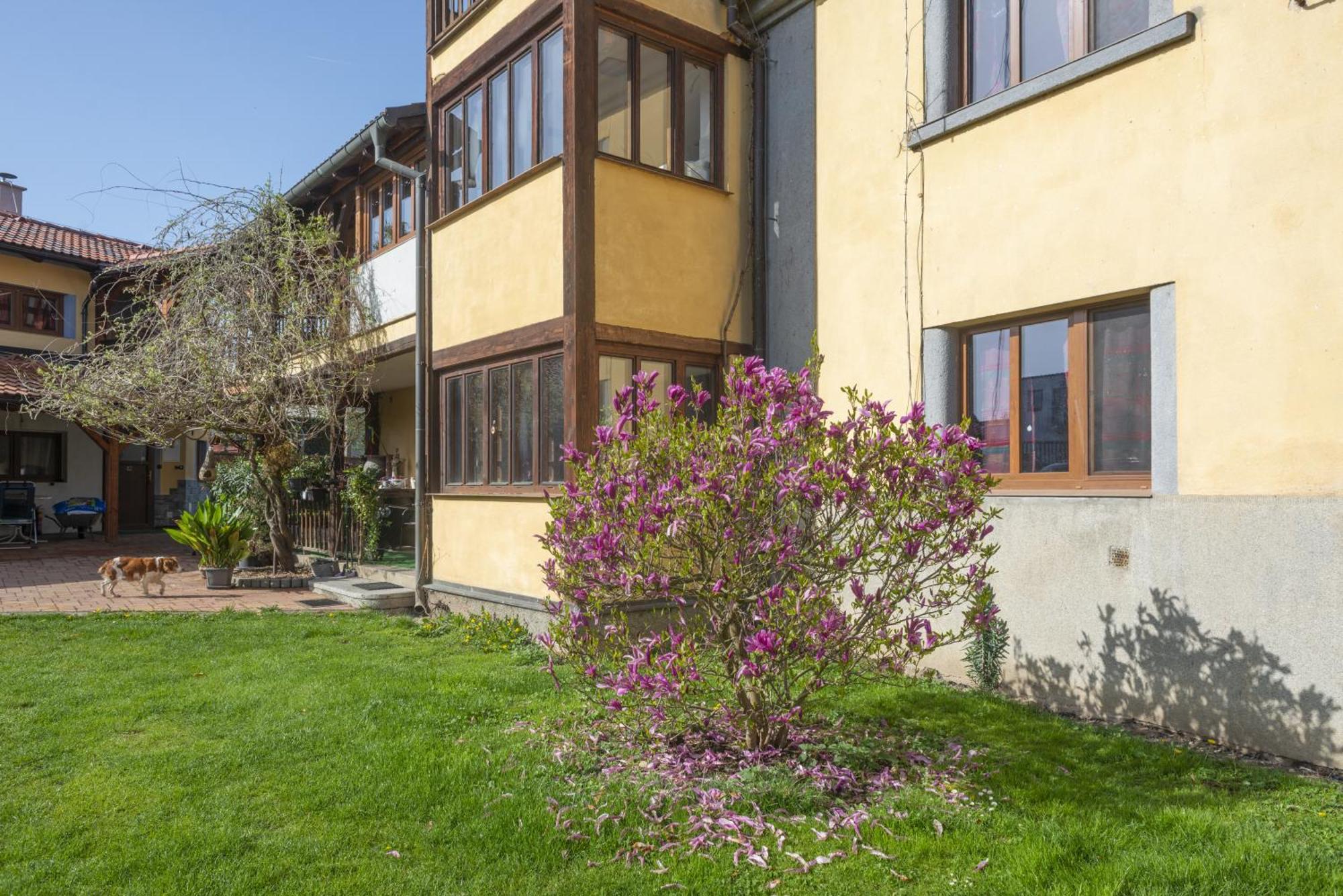 Mlyn-Osvracin Apartment Exterior photo